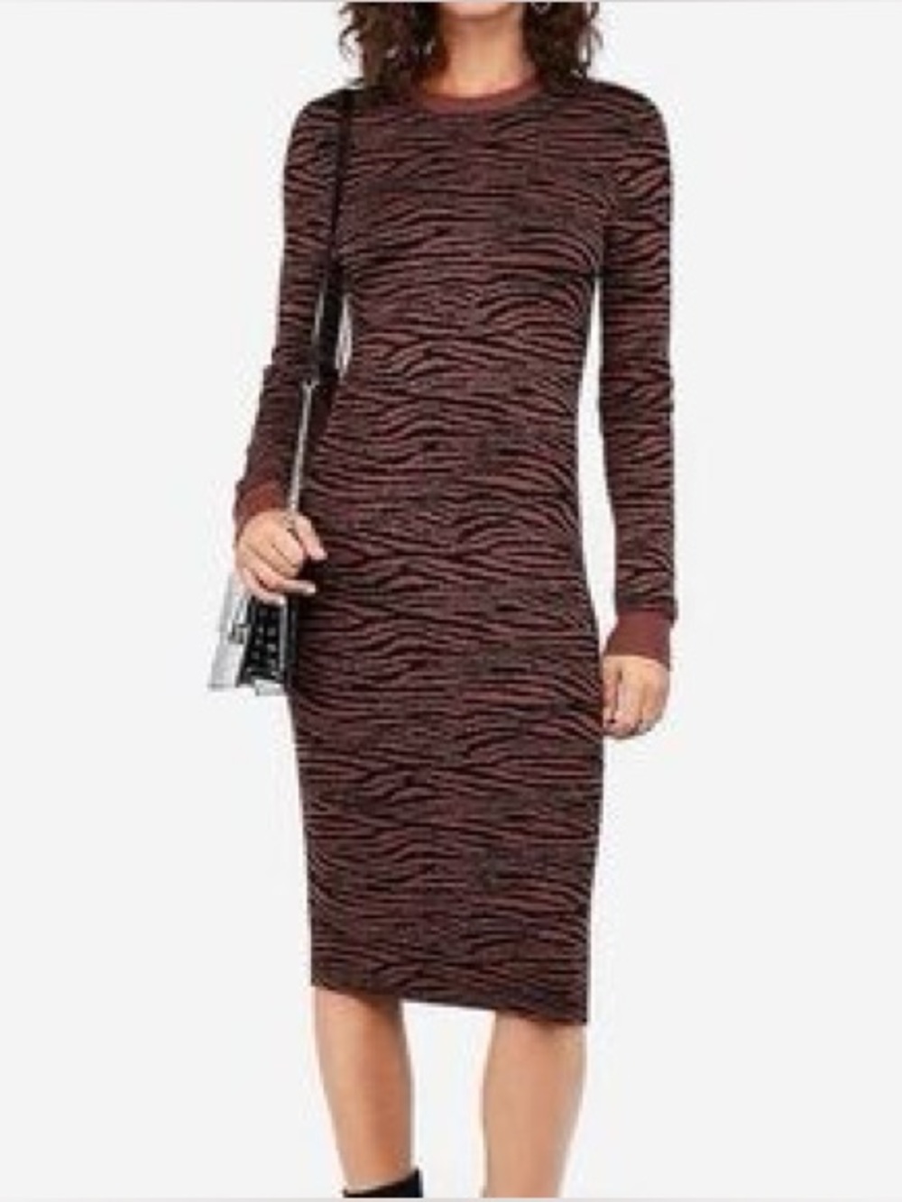 Express x Negin Mirsalehi Zebra Print Sweater Dress Size Medium